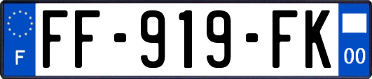 FF-919-FK