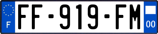 FF-919-FM
