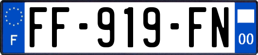 FF-919-FN