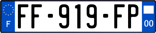 FF-919-FP