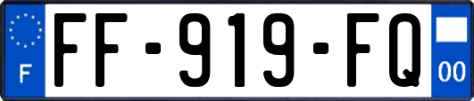 FF-919-FQ