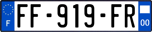 FF-919-FR