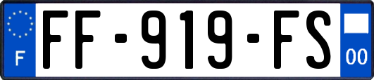 FF-919-FS
