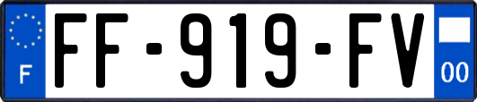 FF-919-FV