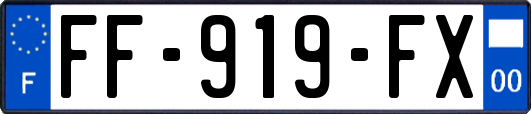 FF-919-FX