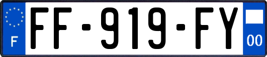 FF-919-FY