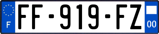 FF-919-FZ