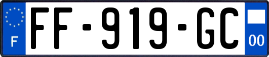 FF-919-GC