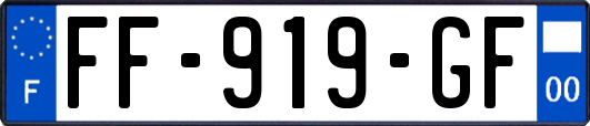FF-919-GF