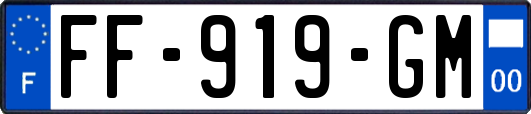 FF-919-GM