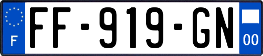 FF-919-GN