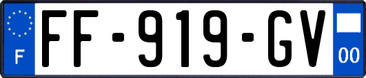 FF-919-GV