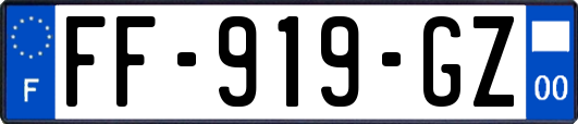 FF-919-GZ