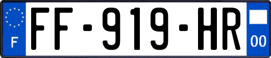 FF-919-HR