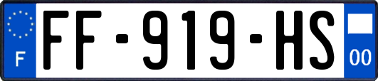 FF-919-HS