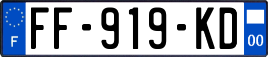 FF-919-KD