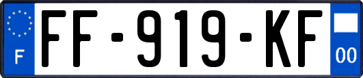 FF-919-KF