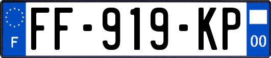 FF-919-KP