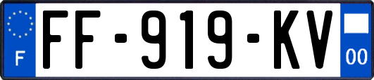 FF-919-KV