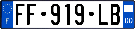 FF-919-LB
