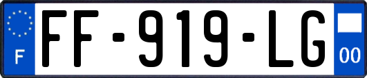FF-919-LG