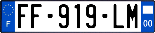 FF-919-LM