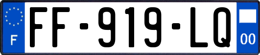 FF-919-LQ