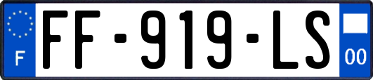 FF-919-LS