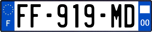 FF-919-MD