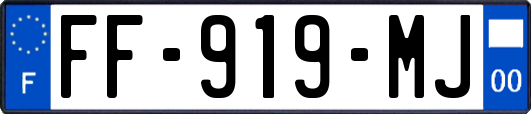 FF-919-MJ
