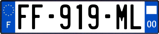 FF-919-ML