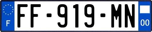 FF-919-MN