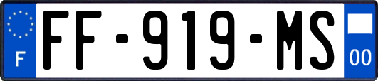 FF-919-MS