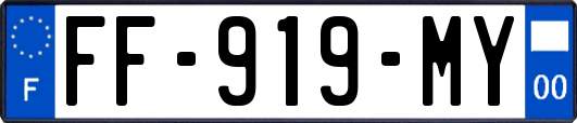FF-919-MY