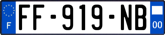 FF-919-NB