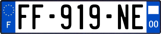 FF-919-NE