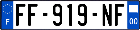 FF-919-NF