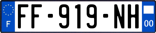 FF-919-NH