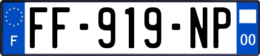 FF-919-NP