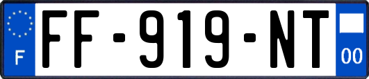 FF-919-NT