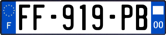 FF-919-PB