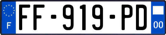 FF-919-PD