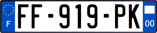 FF-919-PK