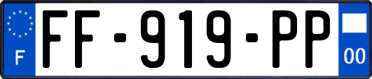 FF-919-PP