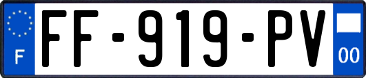 FF-919-PV