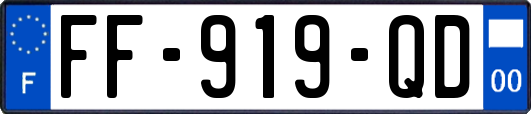 FF-919-QD