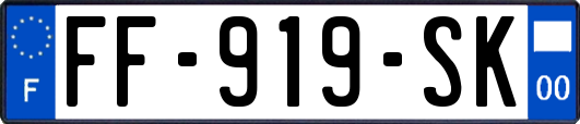 FF-919-SK