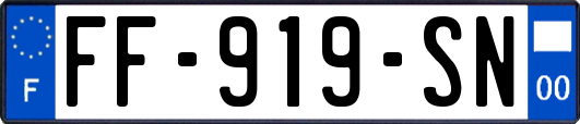 FF-919-SN