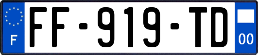 FF-919-TD