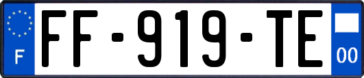FF-919-TE
